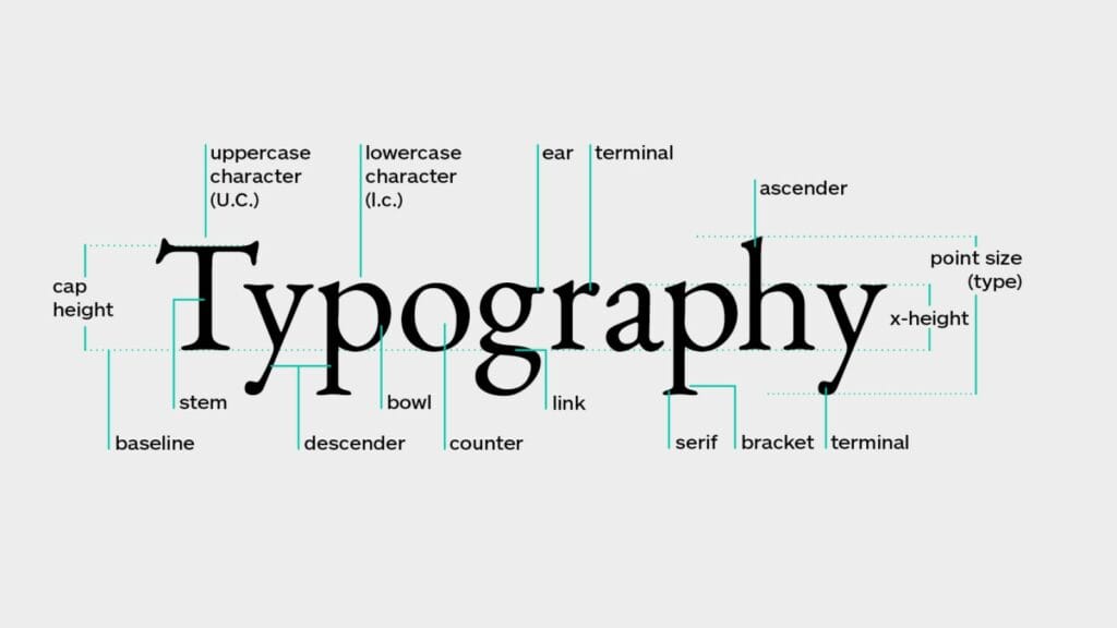 Typography